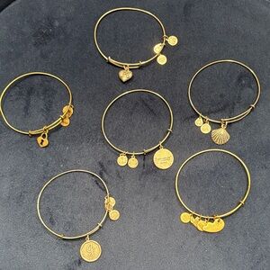 Alex and Ani Gold Charm Bracelet Collection-bundle of 6